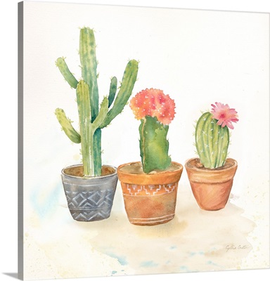 Cactus Pots III