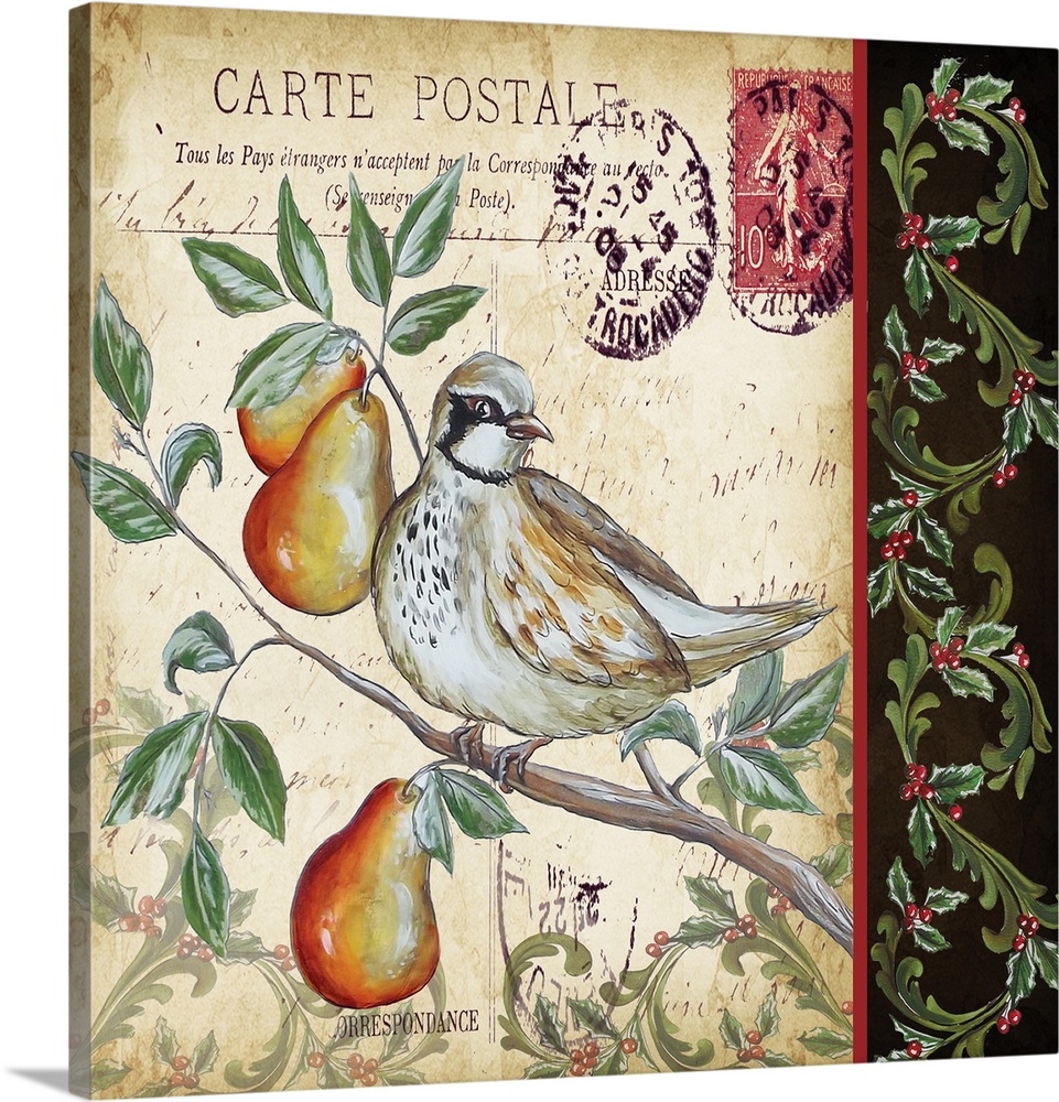 An artistic design of a bird on a branch against a vintage postcard with a border.