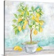 image thumbnail of Country Lemon Tree