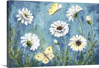 Daisies and Butterfly Meadow