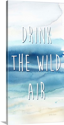 Drink The Wild Air