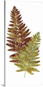 Fall Inspiration Panel II image thumbnail