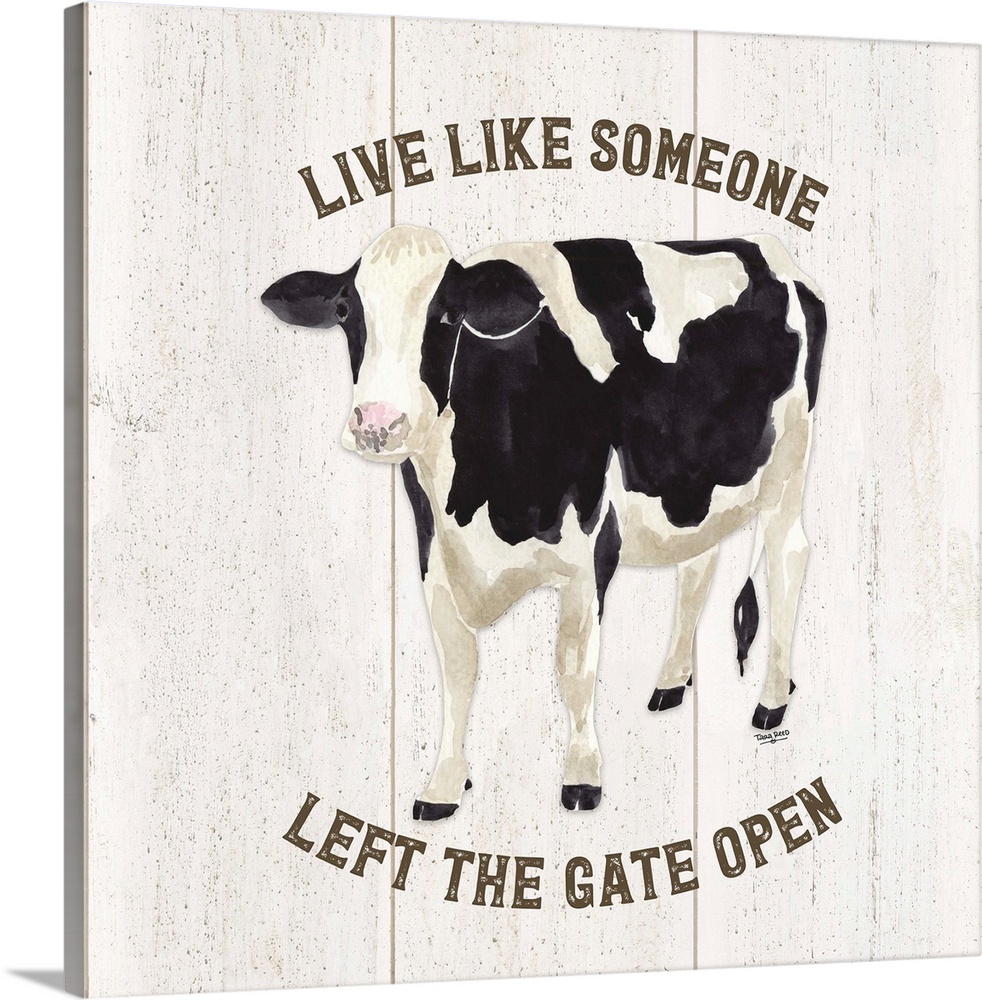 Farm Life Cow Live Like Gate