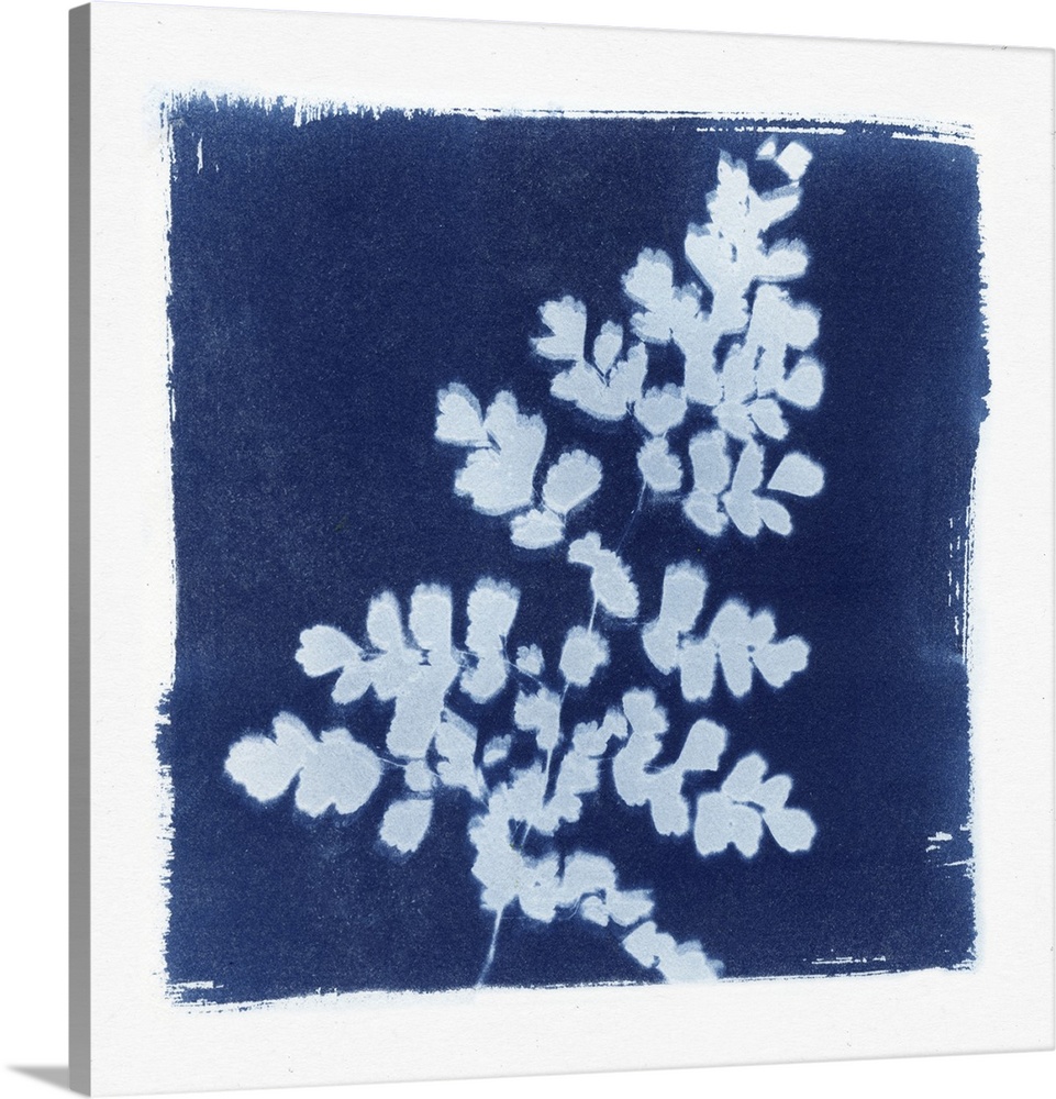 Creative artwork in the style of a cyanotype of a fern with a rough white border.