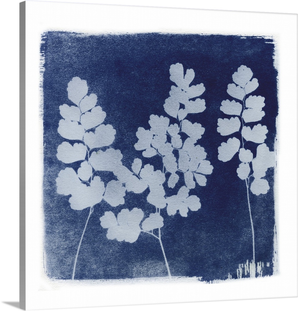Creative artwork in the style of a cyanotype of ferns with a rough white border.
