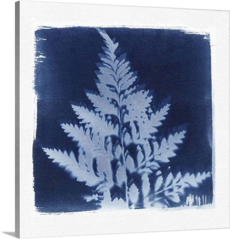 Creative artwork in the style of a cyanotype of a fern with a rough white border.