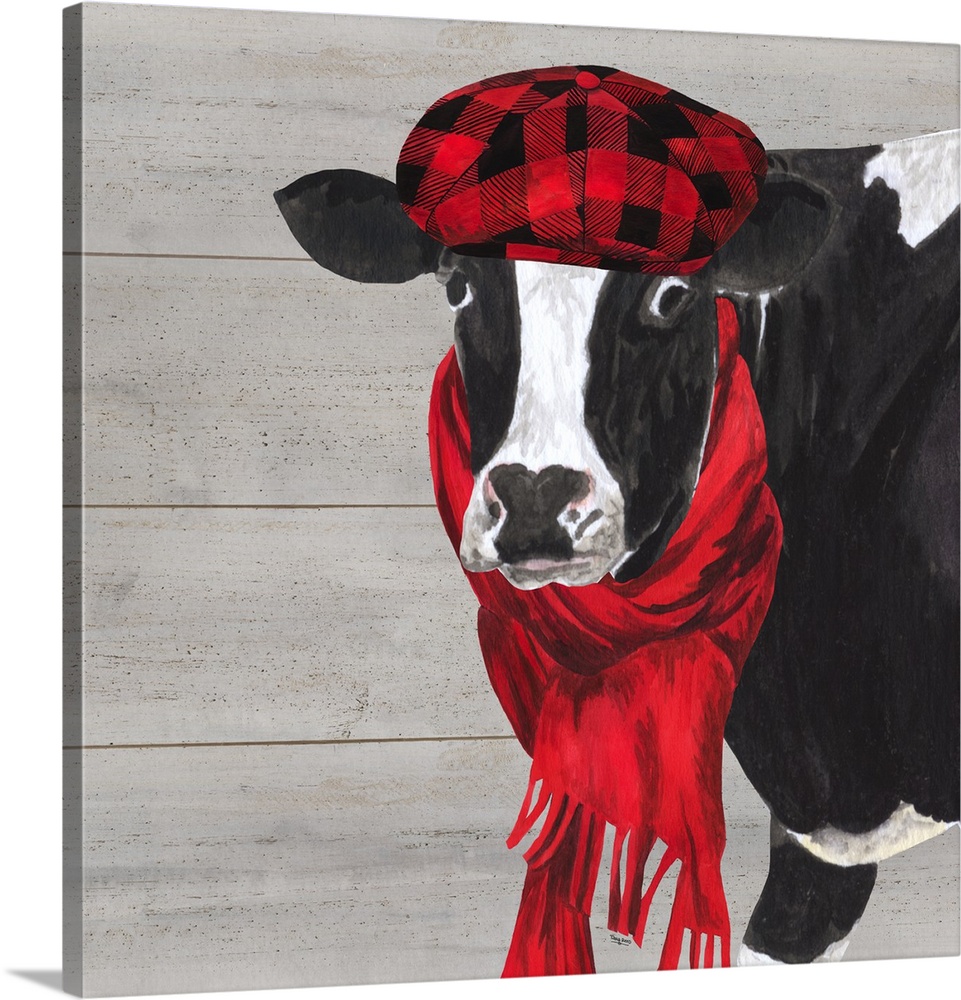 A black and white cow with a hat and scarf around her neck against of grey wood background.