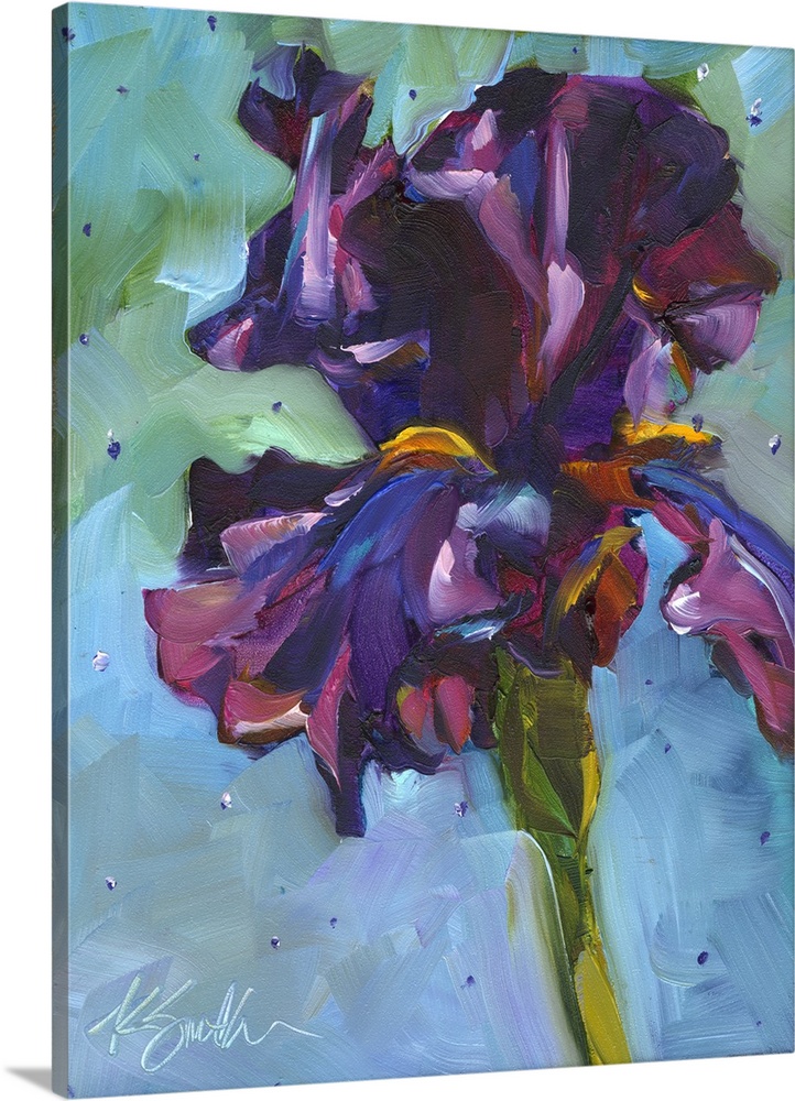 Iris In Bloom