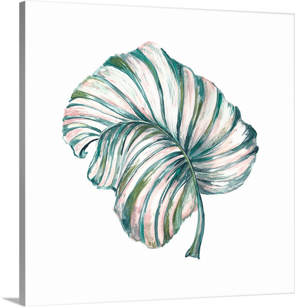 A watercolor painting of a tropical palm leaf on a white background.