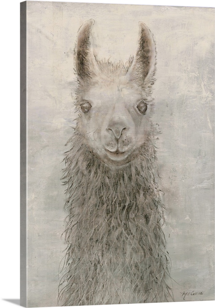 A portrait of a llama in subdue shades of gray.