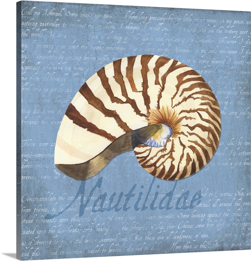 Decorative design of a shell on a blue background with faded text and 'Nautilidae' on the side.