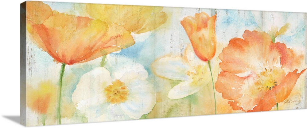 A bright watercolor painting of white, orange and yellow poppies against a faded blue and green backdrop.