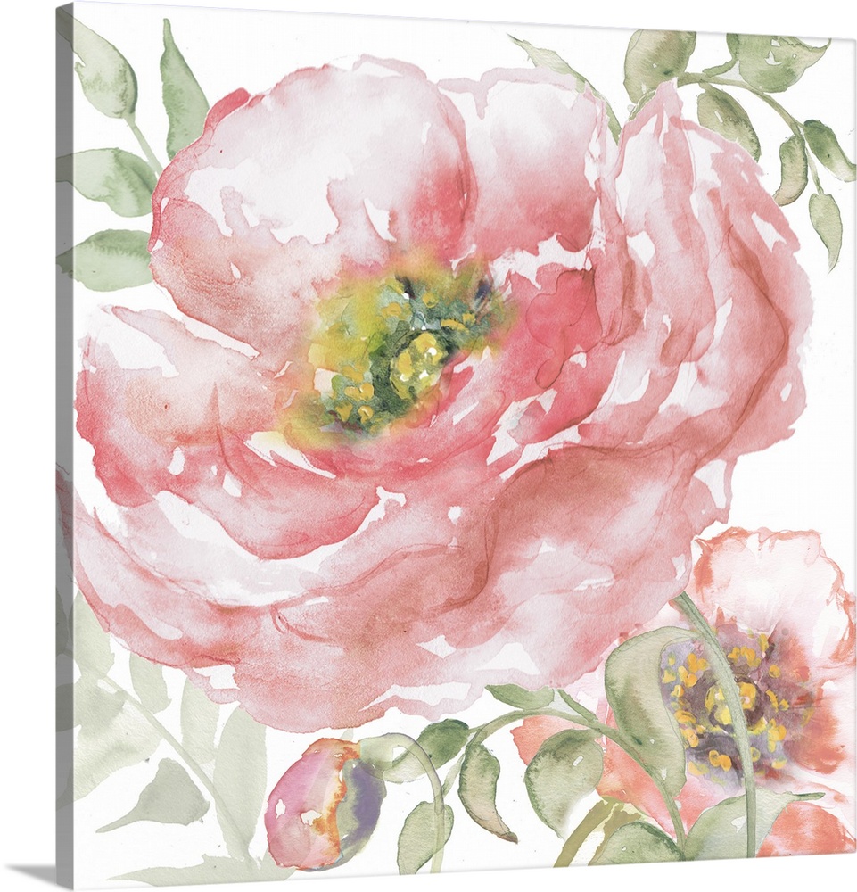 A square decorative watercolor painting of large pink poppy blooms on a white background.
