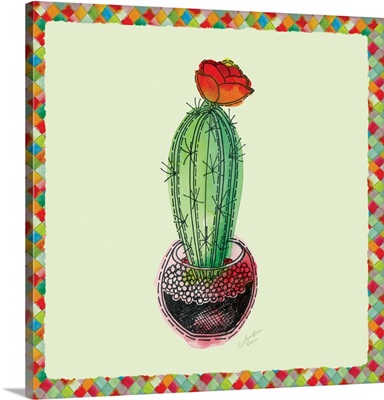 Rainbow Cactus I