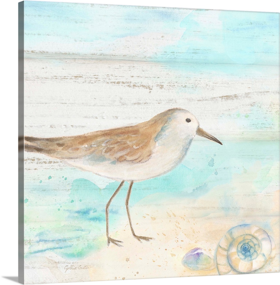 A charming watercolor painting of a sandpiper walking on a beach.