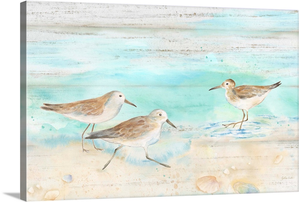 A charming watercolor painting of sandpipers walking on a beach.