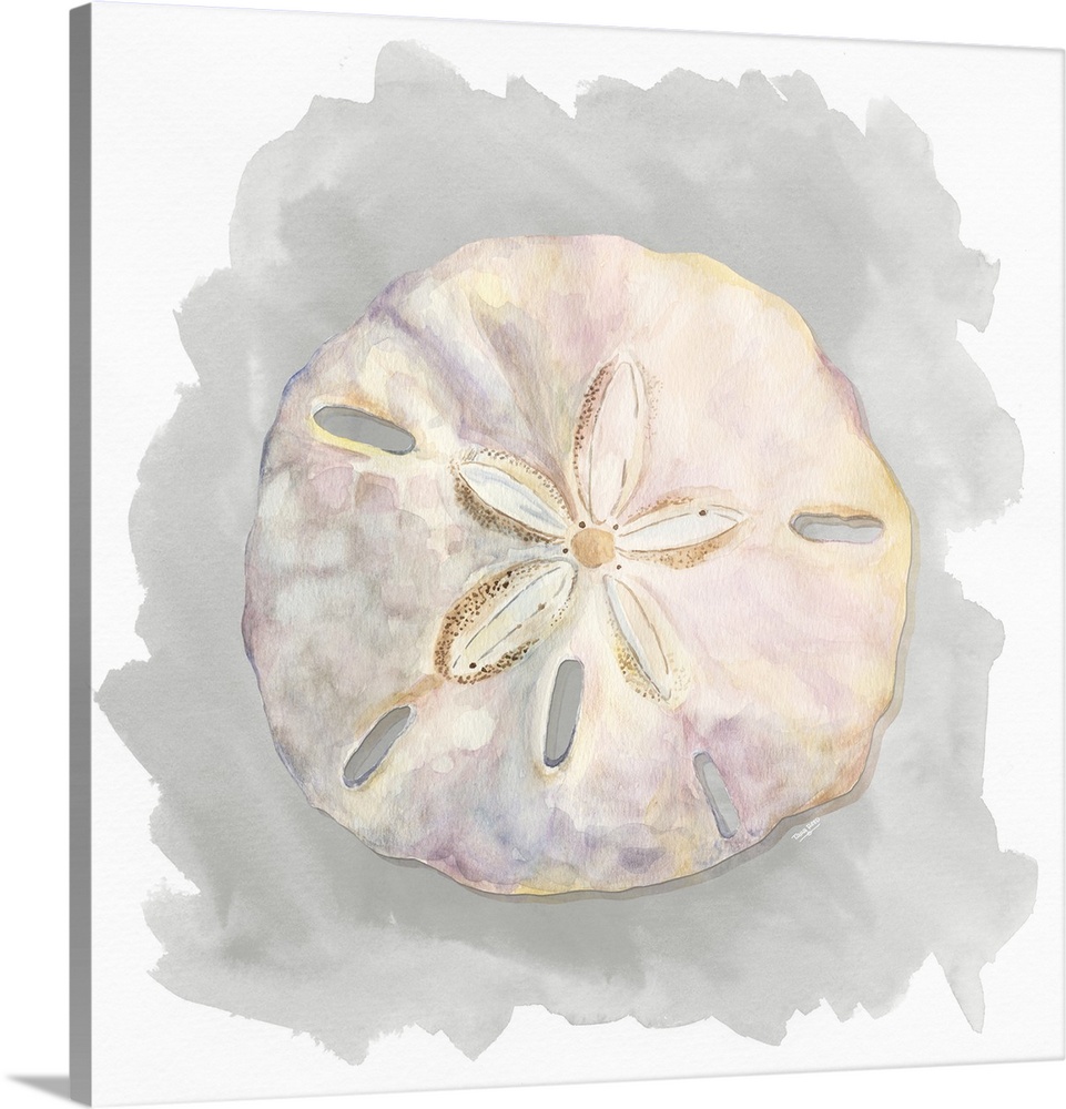 Square artistic painting of a shell with a gray and white background.