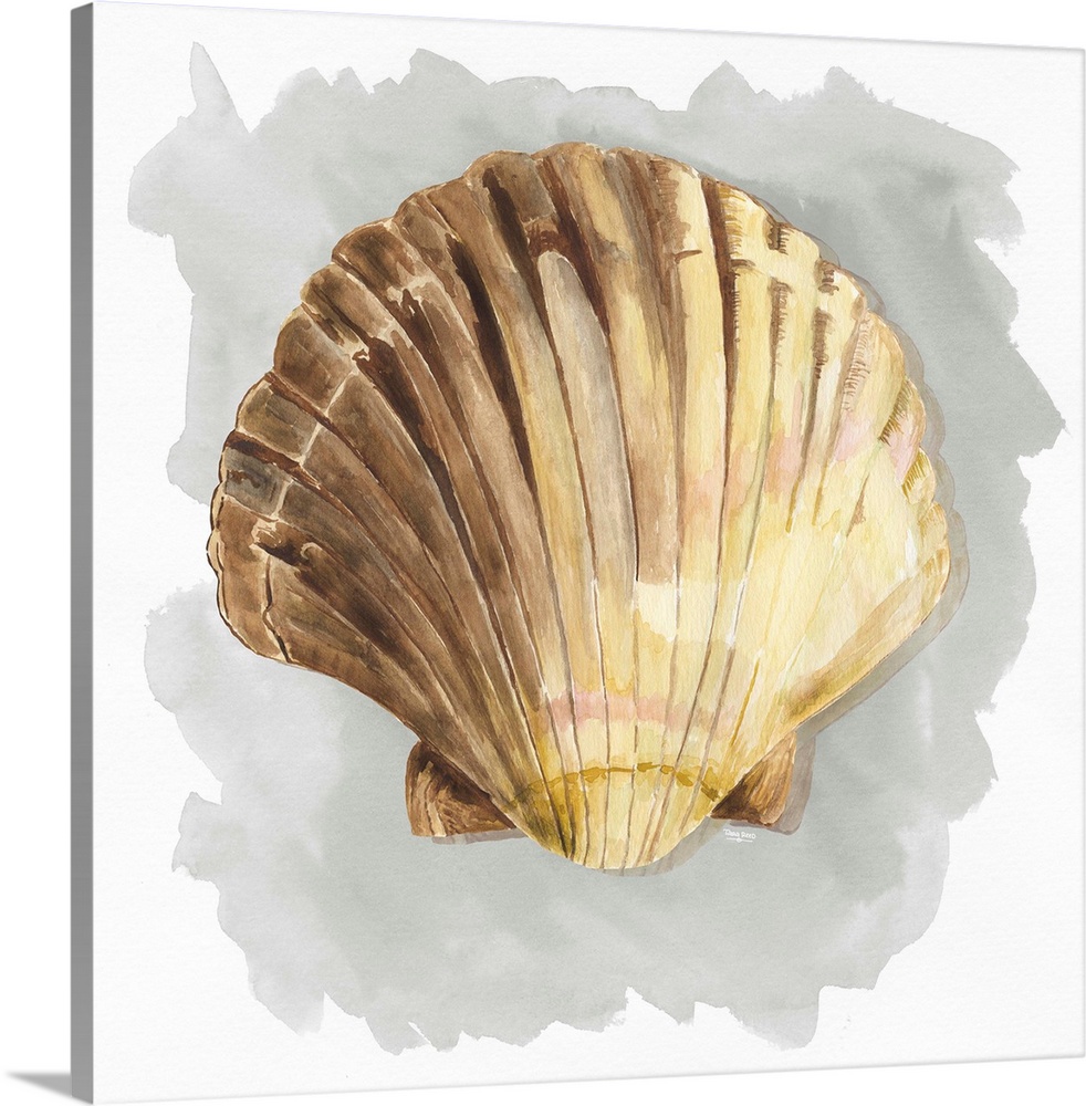 Square artistic painting of a shell with a gray and white background.