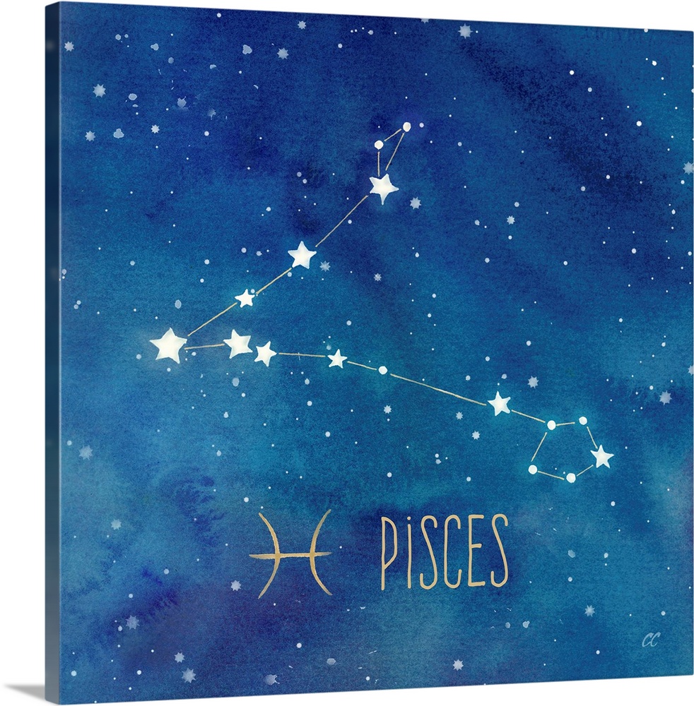 Square artwork of the constellation of Pisces with the symbol.