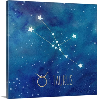 Star Sign Taurus
