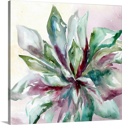 Succulent Watercolor II