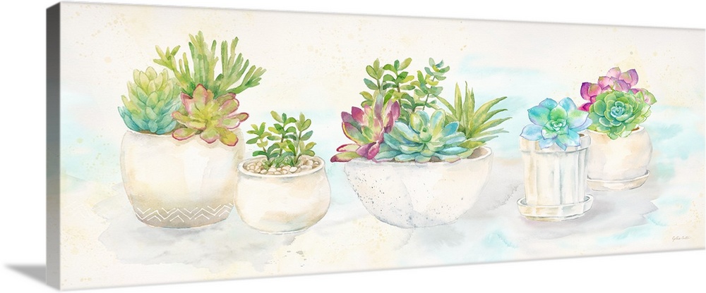 A horizontal decorative watercolor painting of succulents in clay pots.