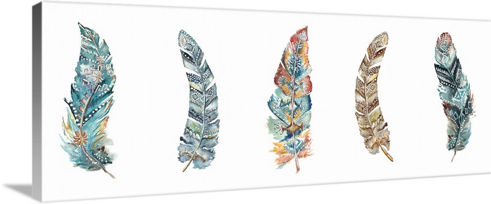A watercolor design of a row of feathers on a white background.