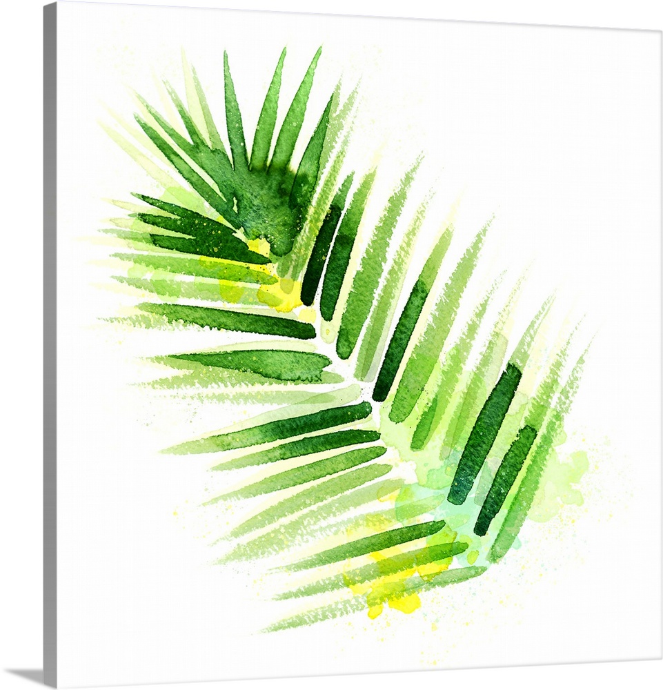 Square decorative watercolor image of palm leaves on a white background.