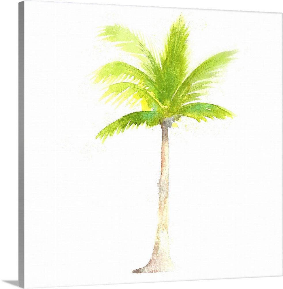 Square decorative watercolor image of a palm tree on a white background.