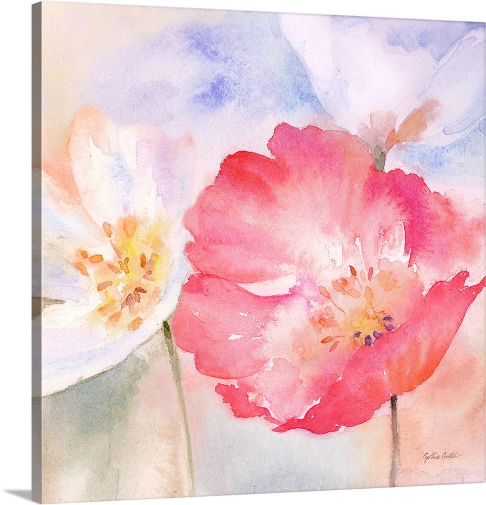Square watercolor painting of colorful poppies in washed, muted tones.