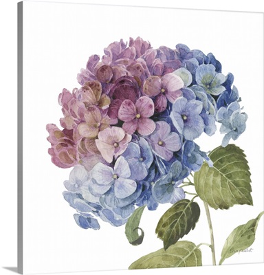 Whispers Of Blue III