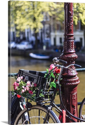 A bicycle decorated with flowers by a canal, Amsterdam, Netherlands