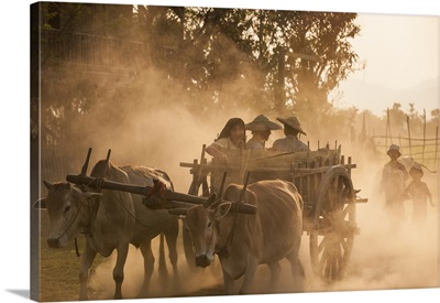 A bull cart kicks up a cloud of dust on the road to Indawgyi Lake, Kachin State, Myanmar