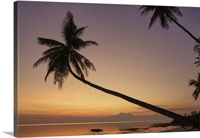 A dusk silhouette of coconut palms at Paliton beach, Siquijor, Philippines
