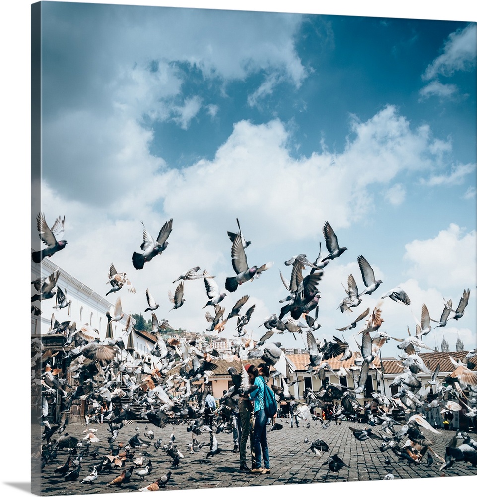 A flock of pigeons fly in front of San Francisco Square in the heart of Quito, Ecuador