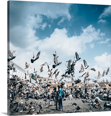 A flock of pigeons fly in front of San Francisco Square in the heart of Quito, Ecuador