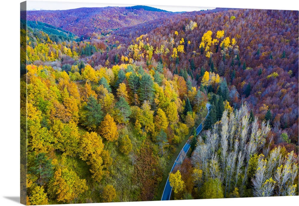 Aerial view of a decidual forest and road in autumn. Close to Irati area. Navarre, Spain, Europe.
