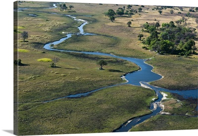 Aerial view of the Okavango Delta, Botswana, Africa