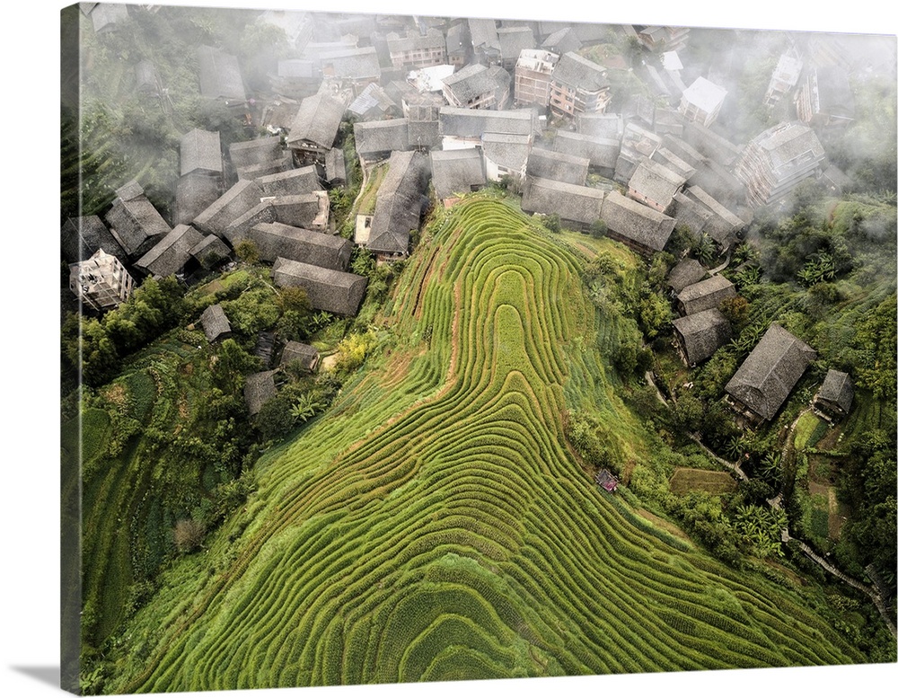 Aerial view on Longsheng rice terraces, also known as dragon's backbone due to their shape, Guangxi, China, Asia
