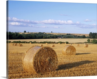 Agricultural landscape with straw bales in a cut wheat field