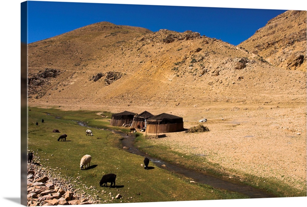 Aimaq nomad camps, near village of Jam, Afghanistan, Asia