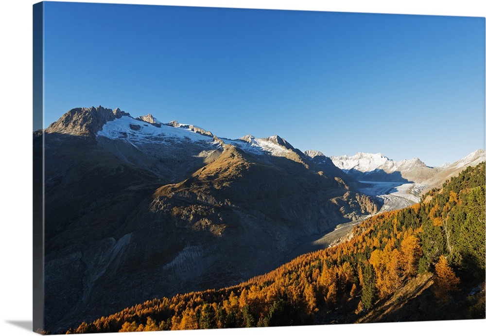 Aletsch Glacier, Jungfrau-Aletsch, UNESCO World Heritage Site, Valais, Swiss Alps, Switzerland, Europe