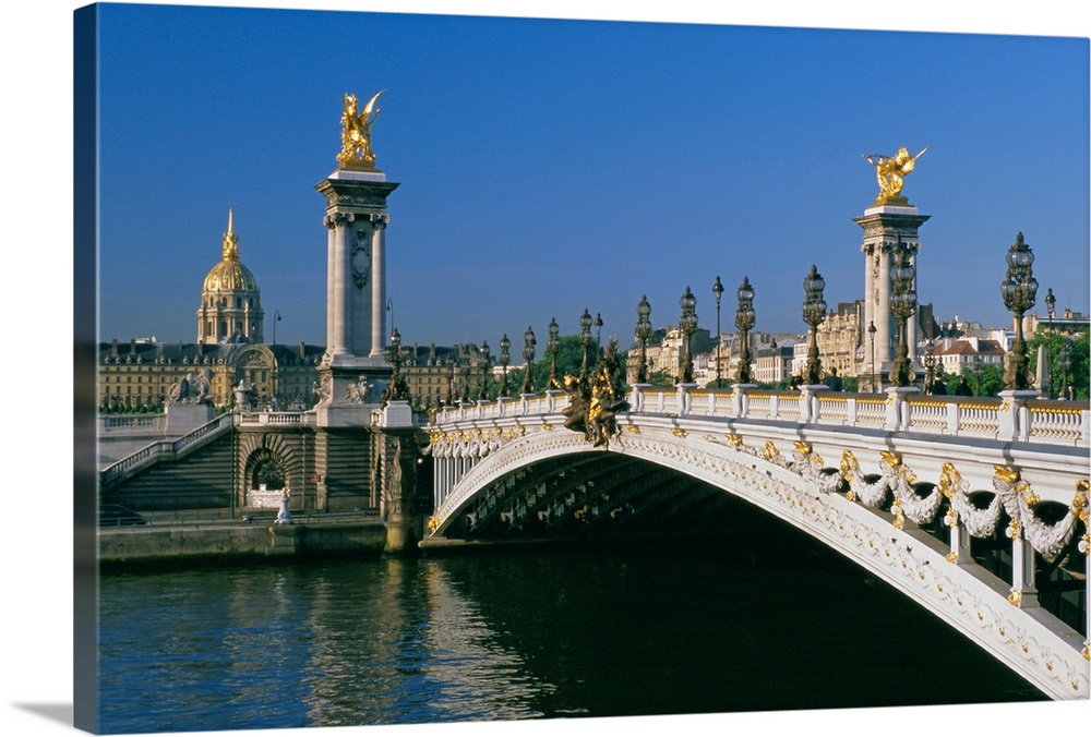 Alexander III bridge over the Seine River, Paris, France