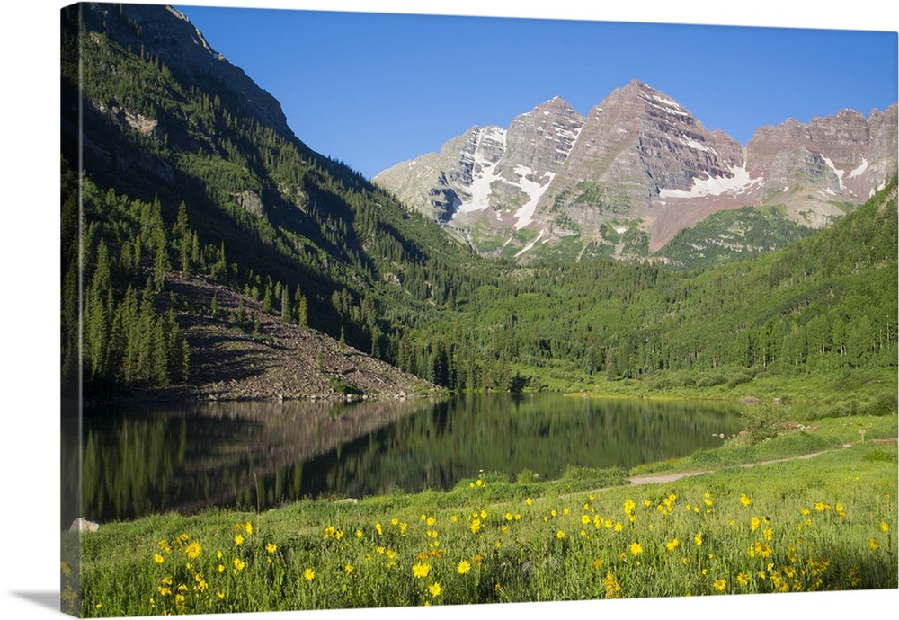 Alpine sunflowers, Maroon Lake, Maroon Bells Peaks in background, Maroon Bells Scenic Area, Colorado