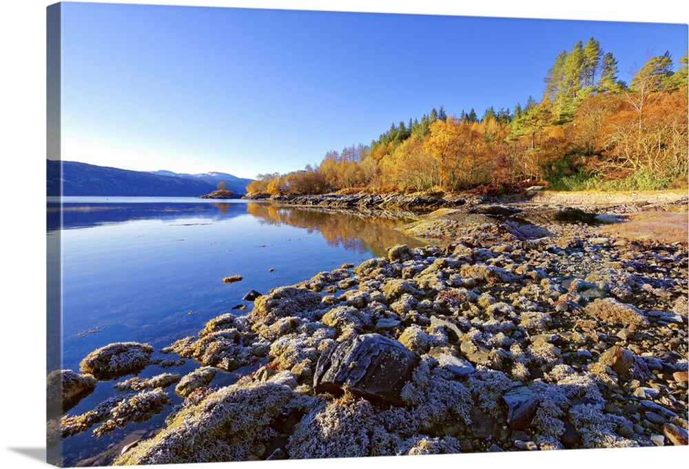 An autumn view on a calm sunny morning along the banks of Loch Sunart in the Ardnamurchan Peninsula, the Scottish Highland...