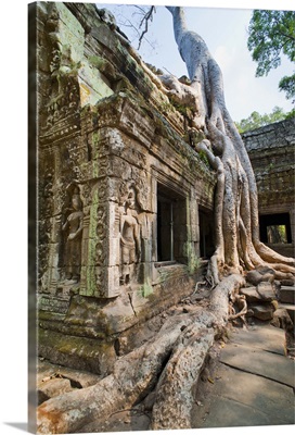 Angkor, Siem Reap, Cambodia, Indochina, Southeast Asia, Asia
