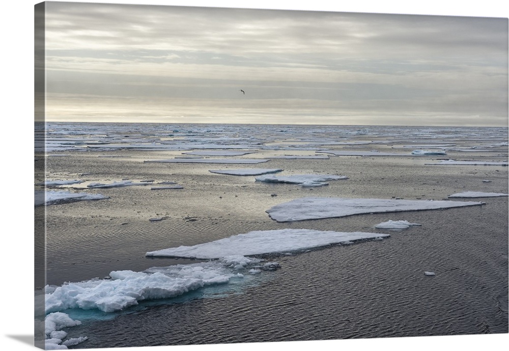 Arctic Ocean, Norway, Scandinavia, Europe