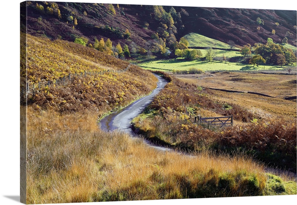 An autumn view of a gate and winding road through the fern covered hills and fells of Langdale Valley in the Lake District...