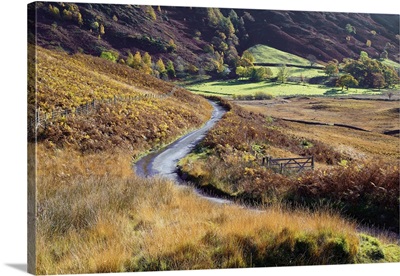 Autumn view of gate and road through the hills of Langdale Valley, Cumbria, England