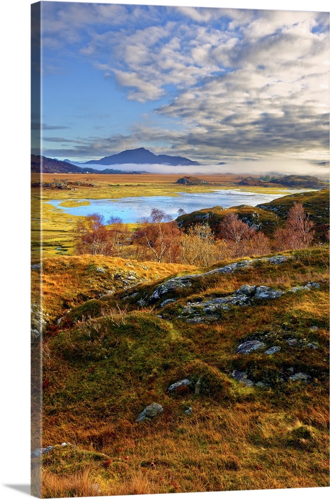 An autumn view of the colorful grass covered hills and moors of Kentra Bay as mist forms below the mountains on the far ho...